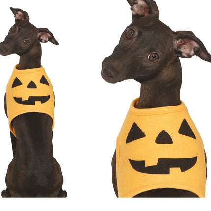 Halloween Dieren Kostuum Pompoen Mascotte