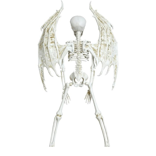 Halloween Hangdecoratie Skelet Met Vleugels 46cm