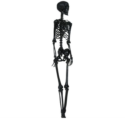 Halloween Hangdecoratie Zwart Skelet 1,6m