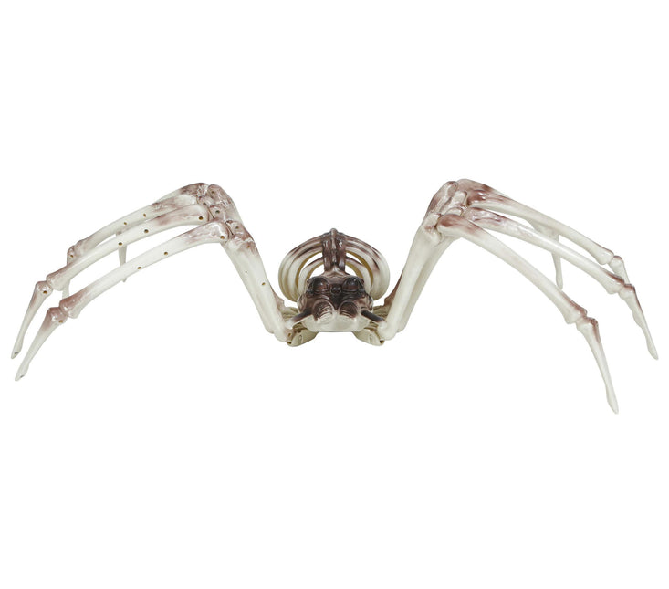 Halloween Skelet Spider 85cm