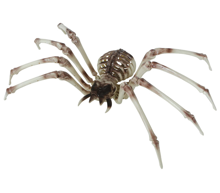 Halloween Skelet Spider 85cm