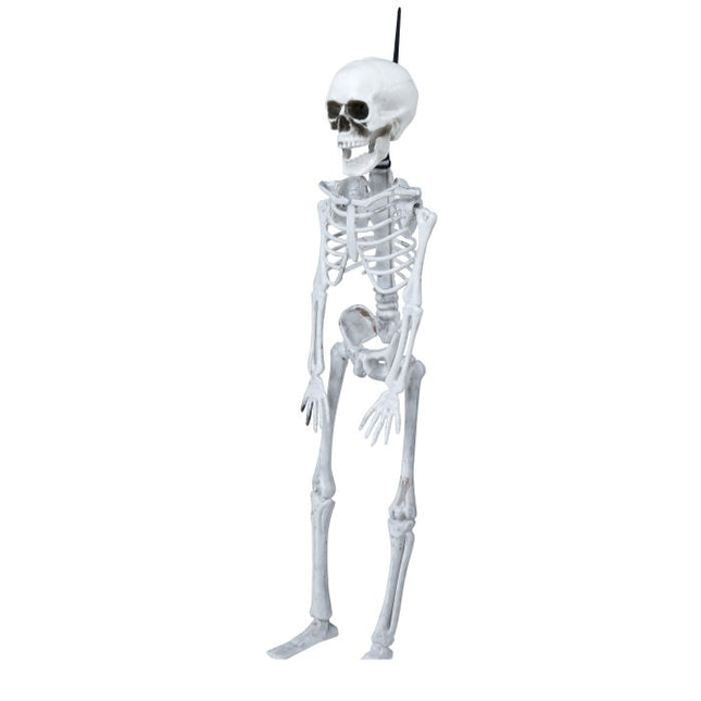 Halloween Skelet 40cm