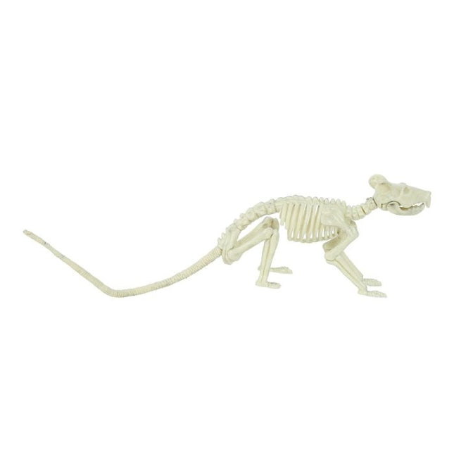 Halloween Ratten Skelet 20cm