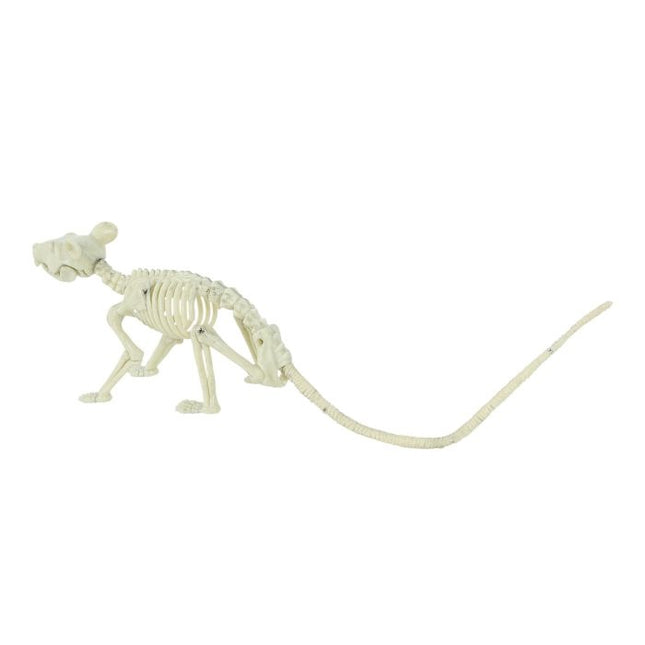 Halloween Ratten Skelet 20cm