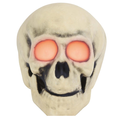 Halloween Schedel Led 30cm