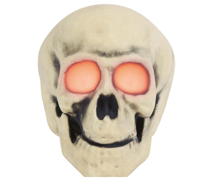 Halloween Schedel Led 30cm