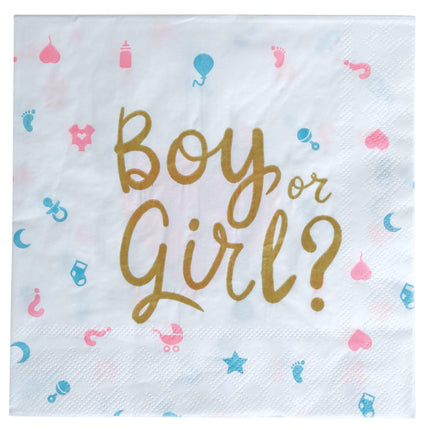 Gender Reveal Servetten 33cm 12st