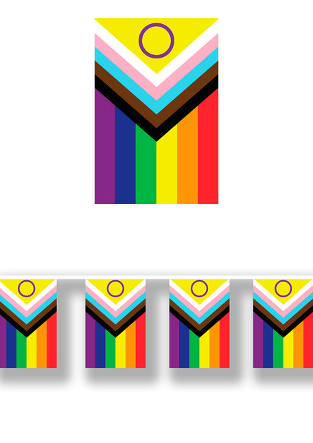 Inclusive rainbow flag garland, 30x20 cm, 2.5m.