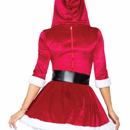 Kerst Jurk Dames Mrs. Claus