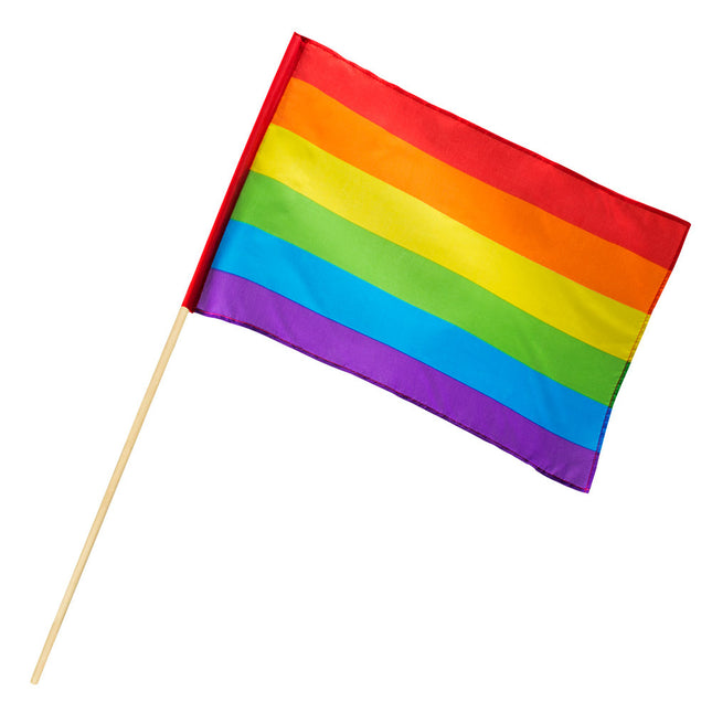 Regenboog Zwaaivlag 76cm