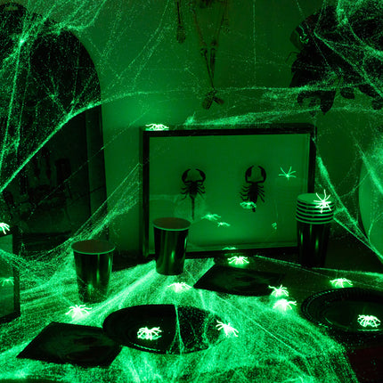 Halloween Spinnenweb Glow In The Dark