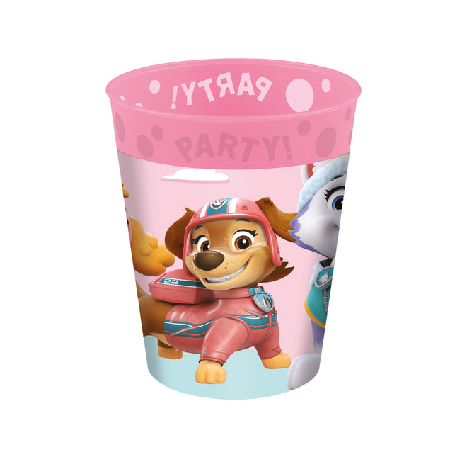 Paw Patrol Beker Skye And Everest Herbruikbaar 250ml