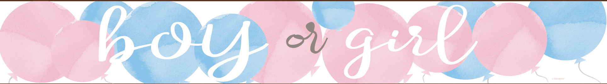 Gender Reveal Banner Boy Or Girl 2,74m