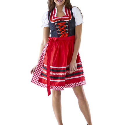 Rood Witte Dirndl Jurk Oktoberfest Dames Geruit