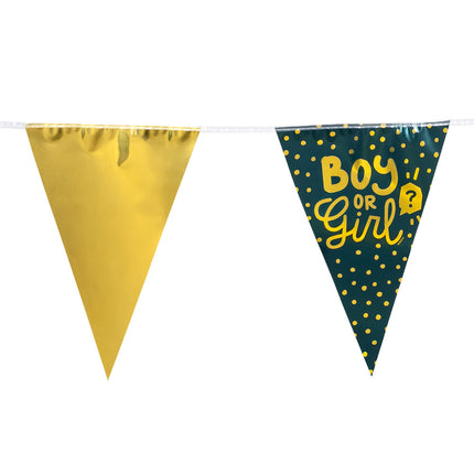 Gender Reveal Slinger Boy Or Girl 6m