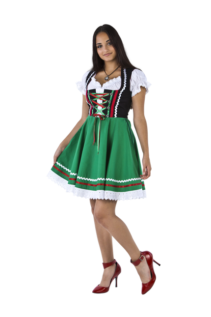 Oktoberfest Dirndl Jurk Oktoberfest Zwart Groen Dames 2 Delig