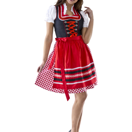 Rood Witte Dirndl Jurk Oktoberfest Dames Geruit