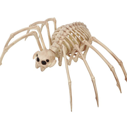 Halloween Tarantula Skelet 35x20cm