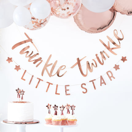 Rose Gouden Slinger Twinkle Twinkle 3m