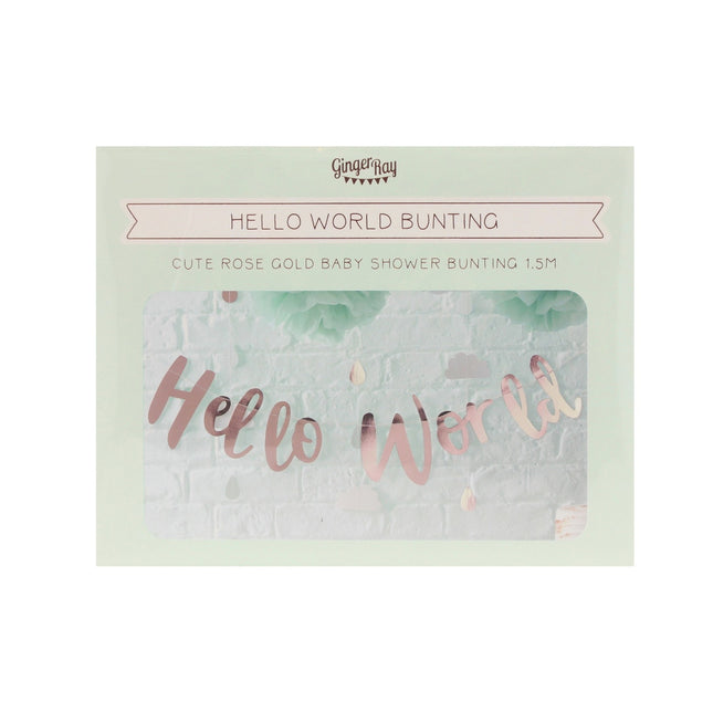 Rose Gouden Letterslinger Hello World 1,5m