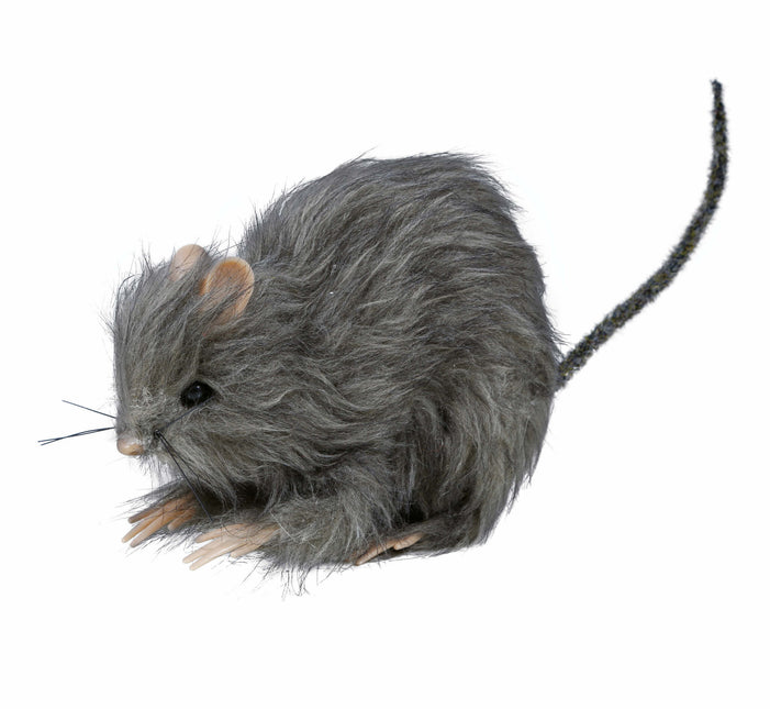 Nep Rat 15cm