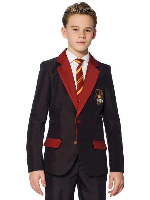 Harry Potter Pak Jongen Gryffindor