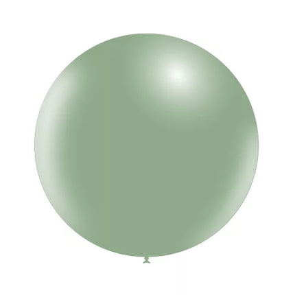 Groene Reuze Ballon XL 60cm