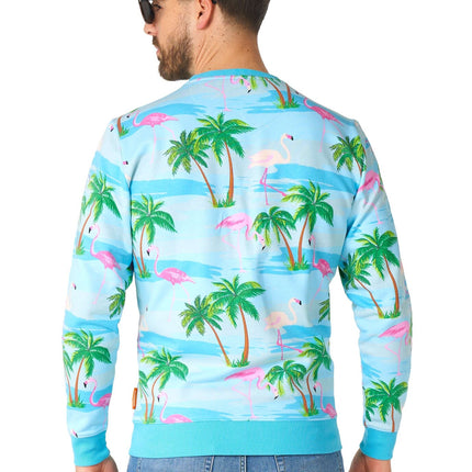 Hawaii Flamingo Trui Heren OppoSuits