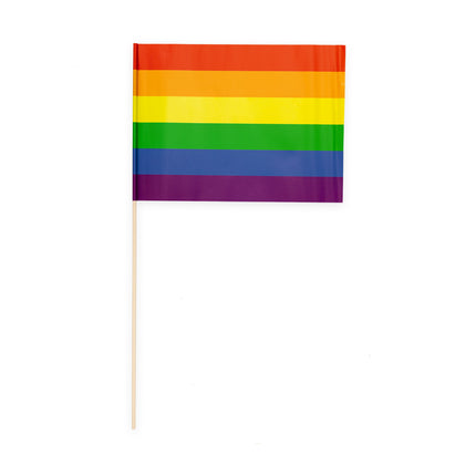 Regenboog Vlag 10st