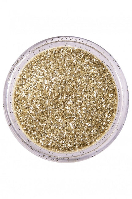 PXP Glitter Poeder Dutch Silver 2,5gr