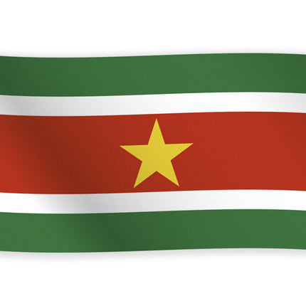 Vlag Suriname 1,5m