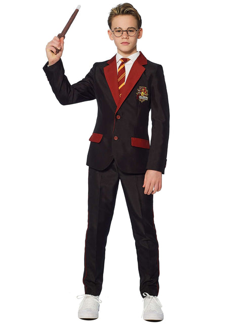 Harry Potter Pak Jongen Gryffindor