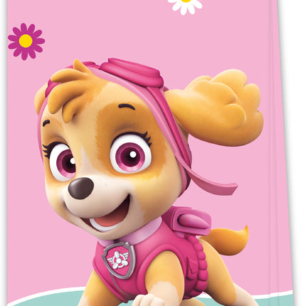 Paw Patrol Uitdeelzakjes Skye And Everest 4st