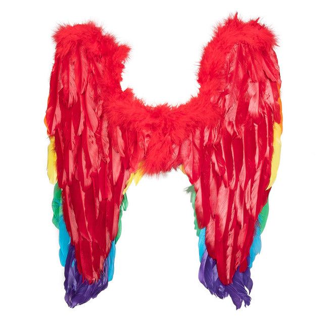 Engelen Vleugels Regenboog 50cm