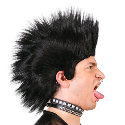 Punk Pruik