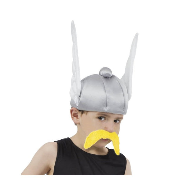 Asterix Helm Kind