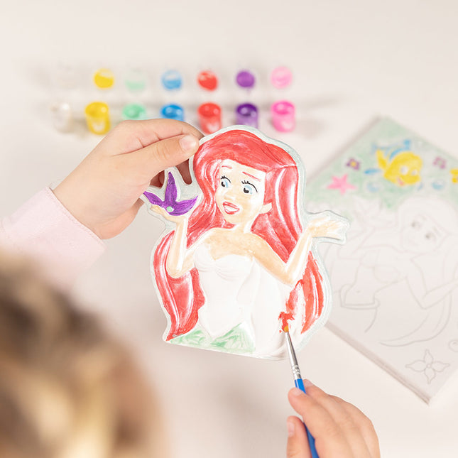 Disney Prinsessen Schilder Maken