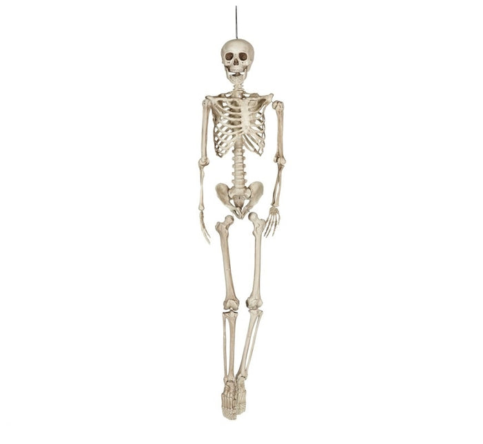 Halloween Skelet 1,6m