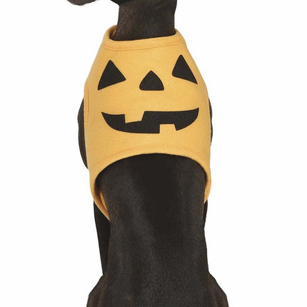 Halloween Dieren Kostuum Pompoen Mascotte