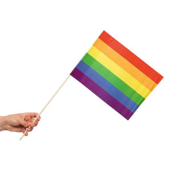 Regenboog Vlag 10st