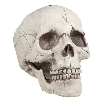 Halloween Schedel Beweegbare Kaak 21cm