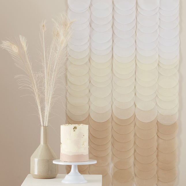 Hangdecoratie Ombre Rondjes 2m