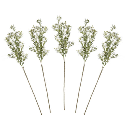 Droogbloemen Gypsophilia Stems 40cm 5st