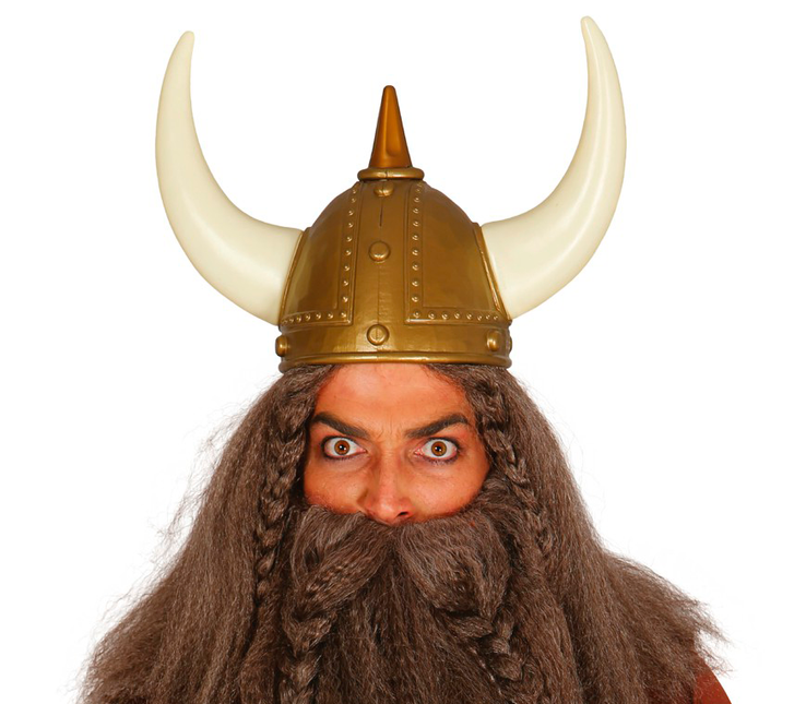 Viking Helm